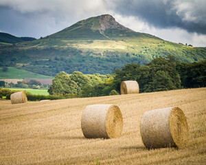Summer Harvest-North Yorkshire-UK