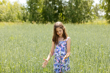 Little cute teenage girl enjoying a walk in the summer park, looking down and touching wheat with her hands, copy space.
