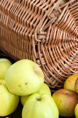 basket of apples