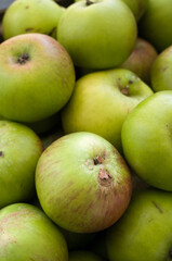 Green Organic Apples-England-UK