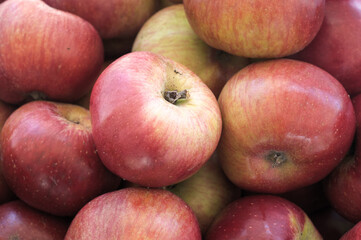 Red Organic Apples-England-UK