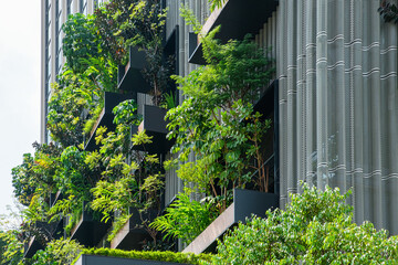 Building facade with green plants growth on the wall. Vertical garden in Kuala Lumpur city, Malaysia. Eco friendly urban environment. Sustainable modern and ecological architecture