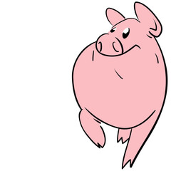 Pig walking looking to the side seen from the front very smiling