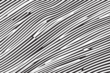 Fototapeta premium Monochrome Abstract: Dynamic Black-and-White Lines on White Background