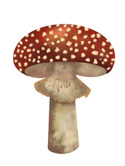 Red fly agaric in watercolor on a white background