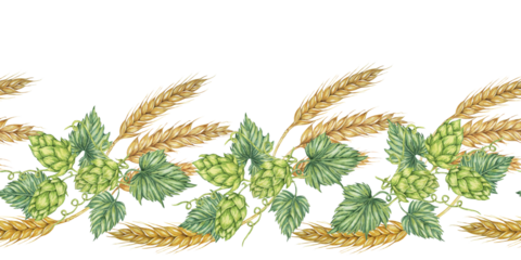 Hops and barley seamless border in watercolor. Green humulus lupulus cones and wheat ears repeating pattern banner for Oktoberfest, St Patrick's day, beer labels, traditional festival clipart