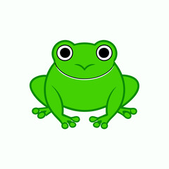 green frog isolated on white