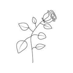One continuous line drawing of a rose. Single-line one art drawing of a rose.