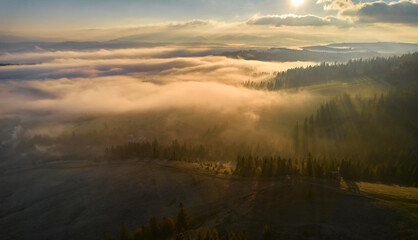 Mountains in clouds at sunrise in summer. Aerial view of mountain peak with green trees in fog. Top view from drone of mountain valley in low clouds