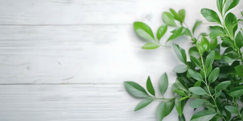 Craft compelling message to promote toptier website design services effectively. Concept "Transform your online presence with our top-tier website design services! Stand out from the competition and