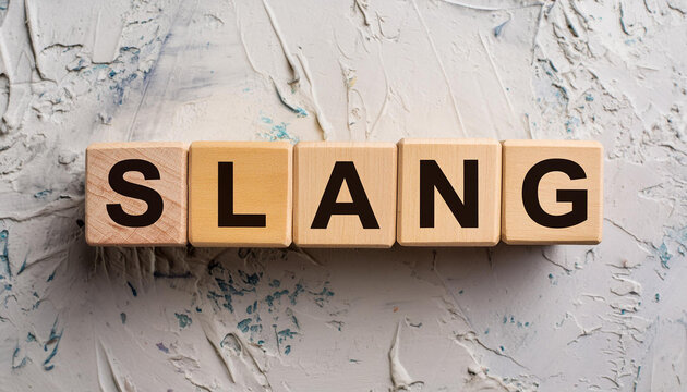 Wooden cubes with text SLANG, cement backdrop. Wood block. Close-up. Flat lay, top view.