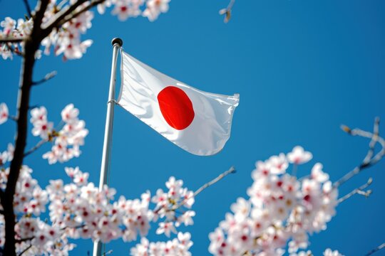 "Japanese Flag"-Bilder: Stock-Fotos & -Videos. | Adobe Stock