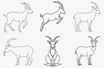 Majestic Ibex Line Art Set, The Ultimate Collection of Elegant and Detailed Illustrations
