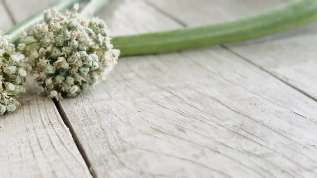 Onion seeds on the table.