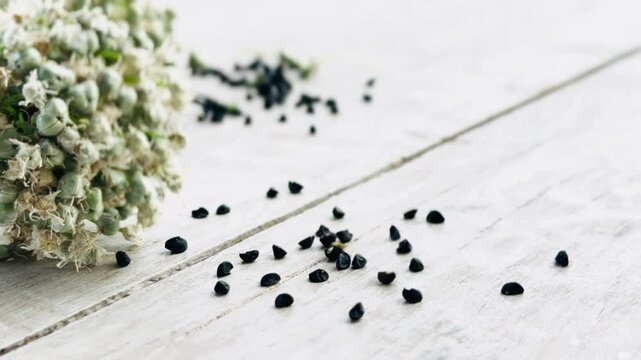 Onion seeds on the table.