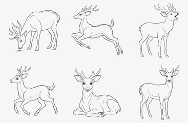Majestic Deer Line Art Collection, Elegant Wildlife Designs