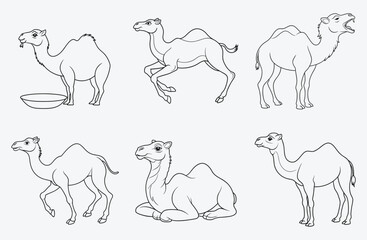 Majestic Camel Line Art Set ,Exquisite Illustrations for Creative Projects