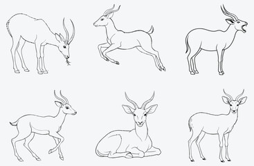 Antelope Line Art Set, Exquisite Wildlife Illustrations for Creative Projects