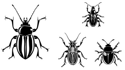 
vector isolated set of insect silhouettes,Hand drawn vector illustration