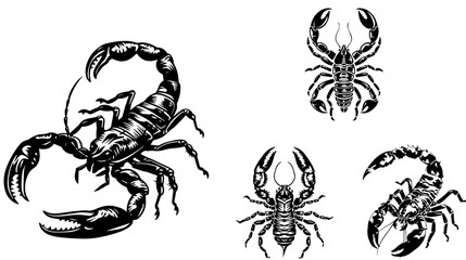 
vector isolated set of insect silhouettes,Hand drawn vector illustration