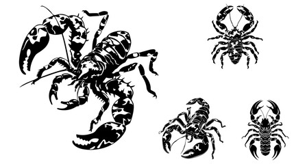 
vector isolated set of insect silhouettes,Hand drawn vector illustration