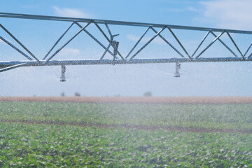 Modern agricultural irrigation system spraying in field