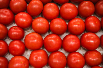 Fresh ripe red tomatoes