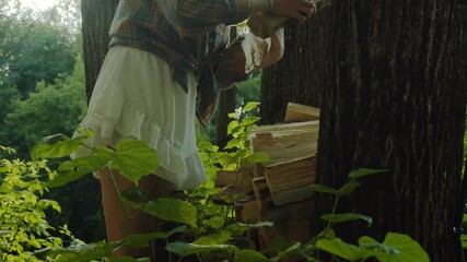 Young girl, wearing a skirt, gathers an armful of firewood for a bonfire she plans to light in the evening outdoors.