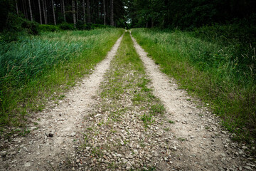 Fototapeta premium Abstract view of a dirt road leading to a dense forest. Used by foresters for forestry work. The forest is mainly laid to pine and covers an area of outstanding beauty located in the UK.