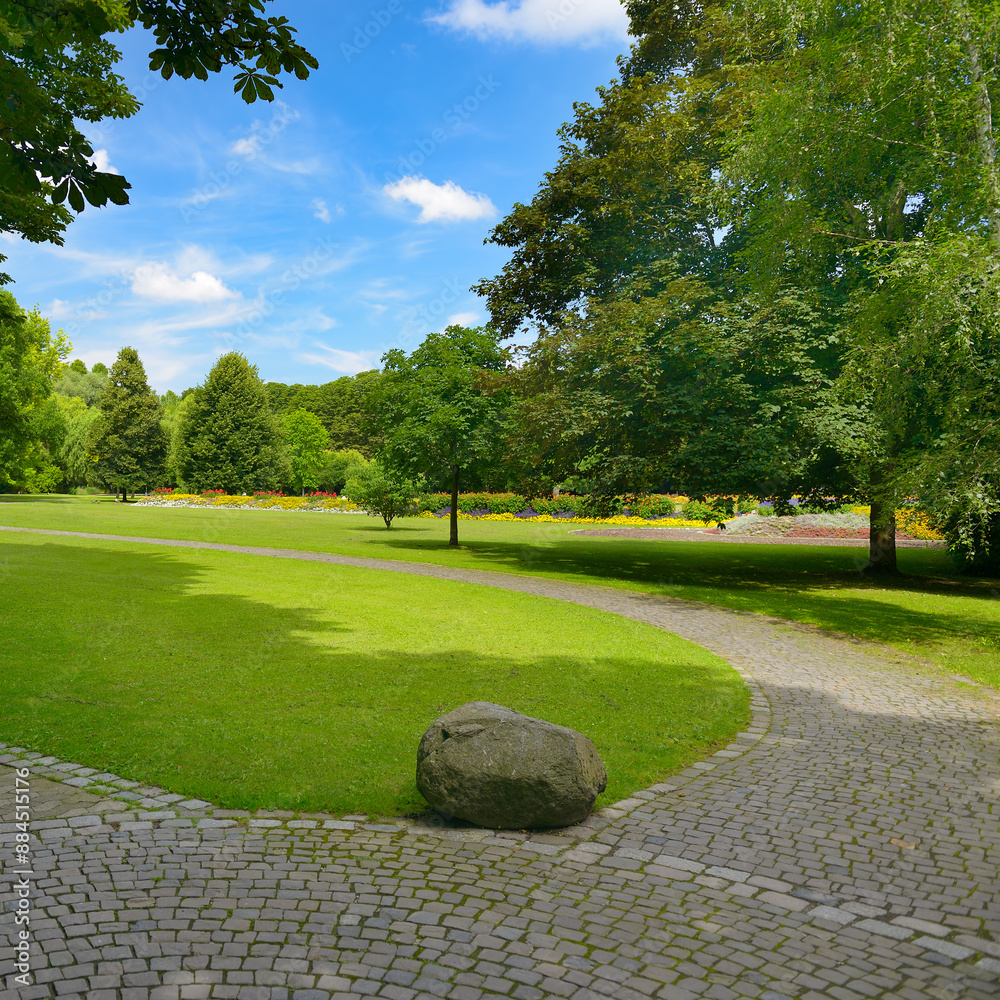 Poster summer park with green meadow