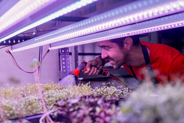 Man watering microgreens under LED lights in indoor farm