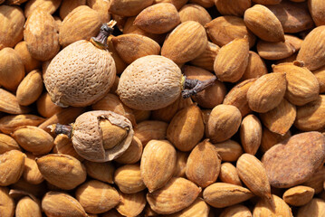 Background and texture of freshly peeled almonds. On top of the almonds are three pieces that are still in their shells or partially shelled.