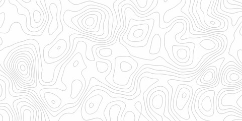 Vector white wave line geography landscape Topo contour map on white background. Geographic mountain relief diagram line wave carve pattern. Topographic world map contour lines map texture.