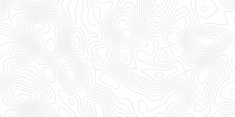 Vector white wave line geography landscape Topo contour map on white background. Geographic mountain relief diagram line wave carve pattern. Topographic world map contour lines map texture.