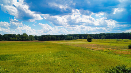 Fototapeta premium landscape with sky and green grass