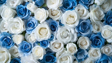 Artificial elegance beautiful colorful blossom rose flowers bouquet. Close up white and blue rose flowers bouquet for Valentine or wedding background and wallpaper. 