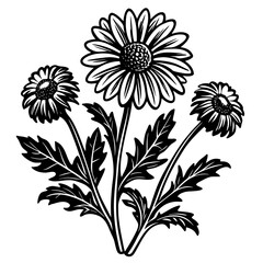 illustration of a flower,flower, floral, vector, 