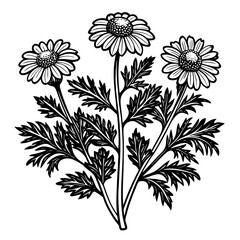 illustration of a flower,flower, floral, vector, 