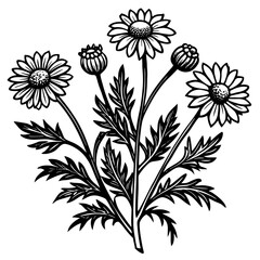 illustration of a flower,flower, floral, vector, 