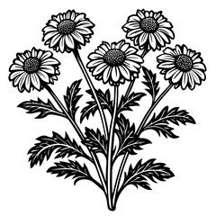 illustration of a flower,flower, floral, vector, 