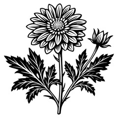 illustration of a flower,flower, floral, vector, 