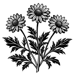 illustration of a flower,flower, floral, vector, 