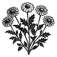 illustration of a flower,flower, floral, vector, 