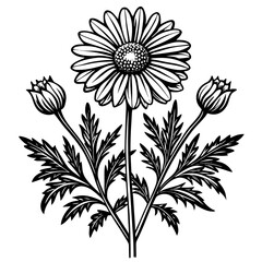 illustration of a flower,flower, floral, vector, 