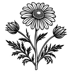 illustration of a flower,flower, floral, vector, 