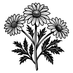 illustration of a flower,flower, floral, vector, 