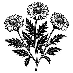 illustration of a flower,flower, floral, vector, 