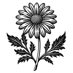illustration of a flower,flower, floral, vector, 