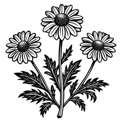 illustration of a flower,flower, floral, vector, 