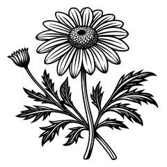 illustration of a flower,flower, floral, vector, 